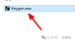 ACDSee 2024安装教程 ACDSee 2024安装教程